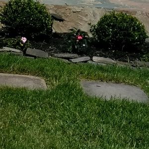 Meet your Posher, Cintia